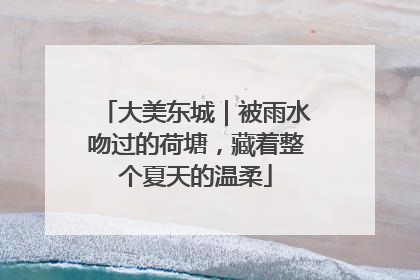 大美东城｜被雨水吻过的荷塘，藏着整个夏天的温柔