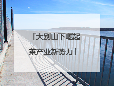 大别山下崛起茶产业新势力