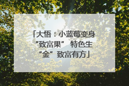 大悟：小蓝莓变身“致富果” 特色生“金”致富有方
