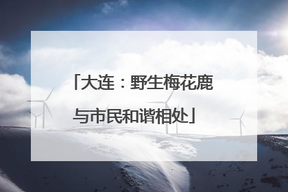 大连：野生梅花鹿与市民和谐相处