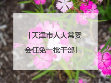 天津市人大常委会任免一批干部