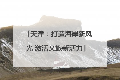 天津：打造海岸新风光 激活文旅新活力