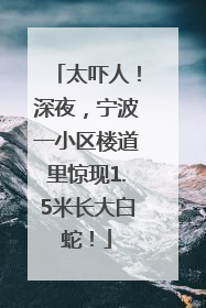 太吓人！深夜，宁波一小区楼道里惊现1.5米长大白蛇！