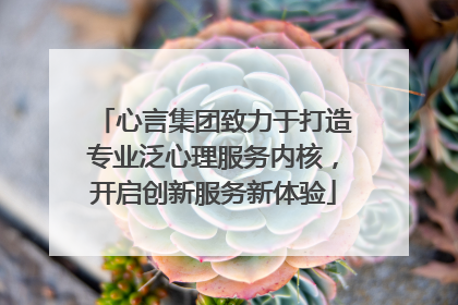 心言集团致力于打造专业泛心理服务内核，开启创新服务新体验