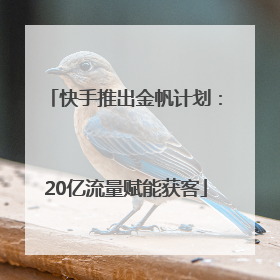 快手推出金帆计划：20亿流量赋能获客