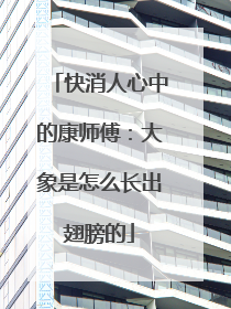 快消人心中的康师傅：大象是怎么长出翅膀的