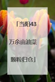 当阳43万余亩油菜颗粒归仓