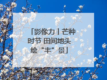 影像力丨芒种时节 田间地头绘“丰”景