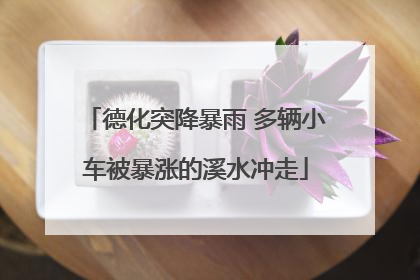 德化突降暴雨 多辆小车被暴涨的溪水冲走