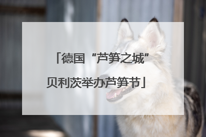 德国“芦笋之城”贝利茨举办芦笋节