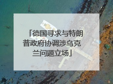 德国寻求与特朗普政府协调涉乌克兰问题立场