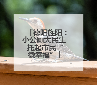 德阳旌阳：小公厕大民生 托起市民“微幸福”