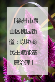 徐州市泉山区桃园街道：以协商民主赋能基层治理