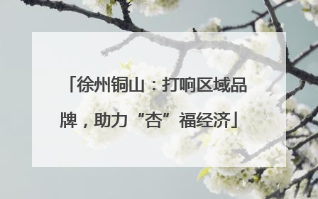 徐州铜山：打响区域品牌，助力“杏”福经济