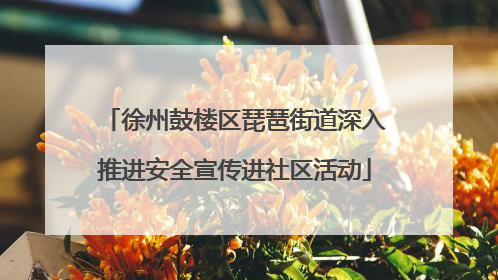 徐州鼓楼区琵琶街道深入推进安全宣传进社区活动