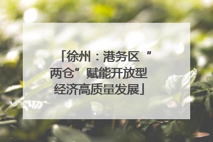 徐州：港务区“两仓”赋能开放型经济高质量发展
