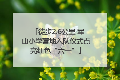 徒步2.6公里 军山小学营地入队仪式点亮红色“六一”