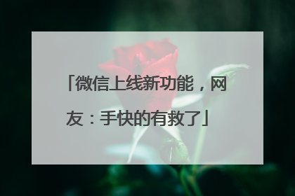微信上线新功能，网友：手快的有救了