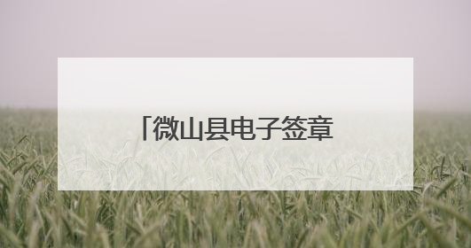 微山县电子签章“上云端” 告别繁琐公章奔波路