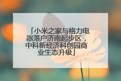 小米之家与格力电器落户济南起步区，中科新经济科创园商业生态升级