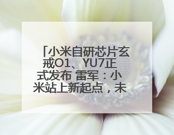 小米自研芯片玄戒O1、YU7正式发布 雷军：小米站上新起点，未来五年研发翻倍再投2000亿元