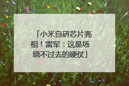 小米自研芯片亮相！雷军：这是场绕不过去的硬仗