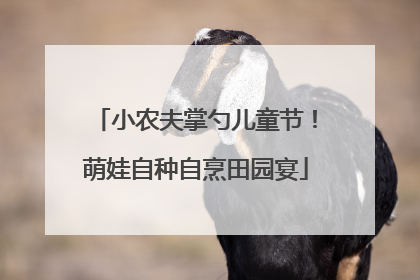 小农夫掌勺儿童节！萌娃自种自烹田园宴