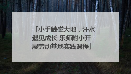小手触碰大地，汗水遇见成长 乐师附小开展劳动基地实践课程