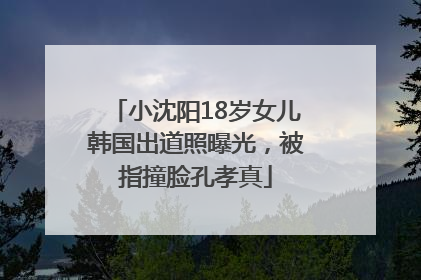 小沈阳18岁女儿韩国出道照曝光，被指撞脸孔孝真