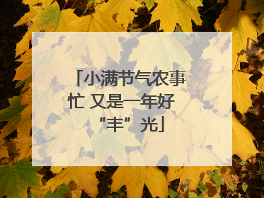 小满节气农事忙 又是一年好“丰”光