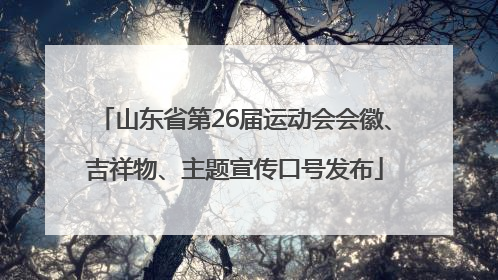 山东省第26届运动会会徽、吉祥物、主题宣传口号发布