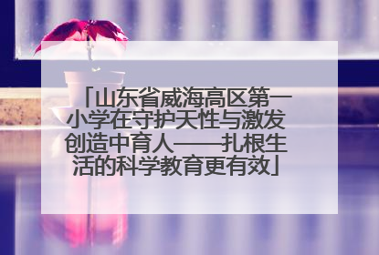 山东省威海高区第一小学在守护天性与激发创造中育人——扎根生活的科学教育更有效