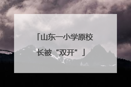 山东一小学原校长被“双开”