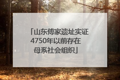 山东傅家遗址实证4750年以前存在母系社会组织