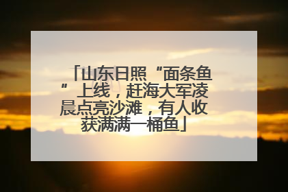 山东日照“面条鱼”上线，赶海大军凌晨点亮沙滩，有人收获满满一桶鱼