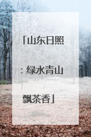 山东日照：绿水青山飘茶香