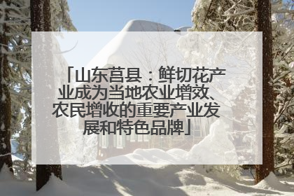 山东莒县：鲜切花产业成为当地农业增效、农民增收的重要产业发展和特色品牌