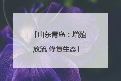 山东青岛：增殖放流 修复生态