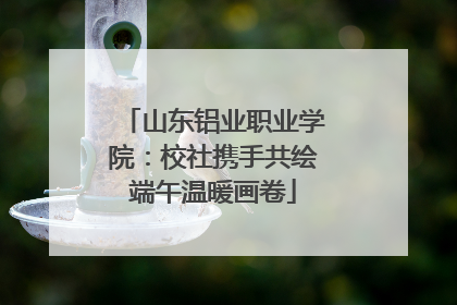 山东铝业职业学院：校社携手共绘端午温暖画卷