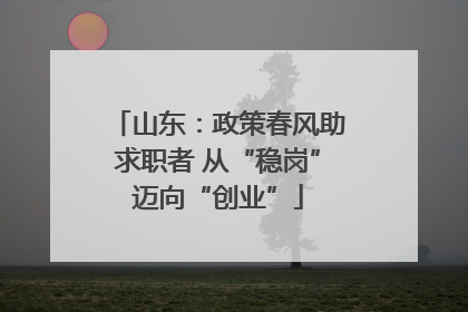 山东：政策春风助求职者 从“稳岗”迈向“创业”