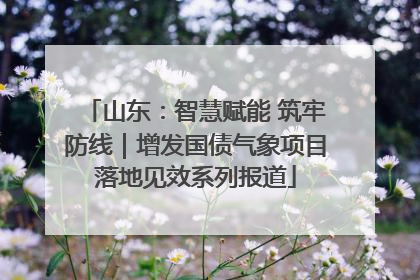山东：智慧赋能 筑牢防线｜增发国债气象项目落地见效系列报道