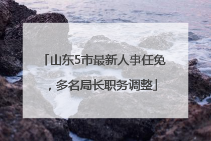 山东5市最新人事任免，多名局长职务调整