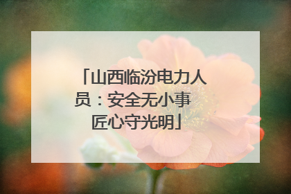 山西临汾电力人员：安全无小事 匠心守光明