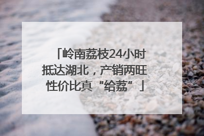 岭南荔枝24小时抵达湖北，产销两旺性价比真“给荔”