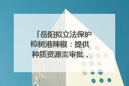 岳阳拟立法保护樟树港辣椒：提供种质资源需审批，违规最高罚5万