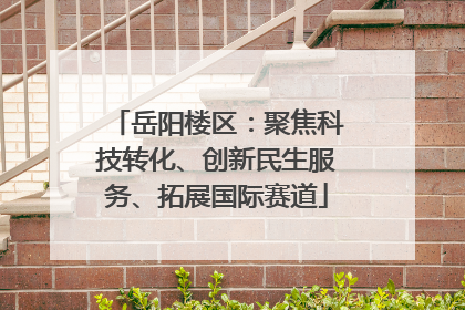 岳阳楼区：聚焦科技转化、创新民生服务、拓展国际赛道
