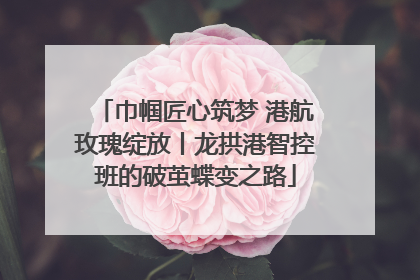 巾帼匠心筑梦 港航玫瑰绽放丨龙拱港智控班的破茧蝶变之路