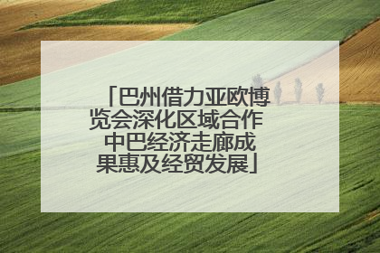 巴州借力亚欧博览会深化区域合作 中巴经济走廊成果惠及经贸发展