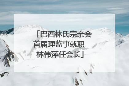 巴西林氏宗亲会首届理监事就职 林伟萍任会长