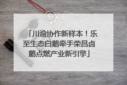 川渝协作新样本！乐至生态白鹅牵手荣昌卤鹅点燃产业新引擎